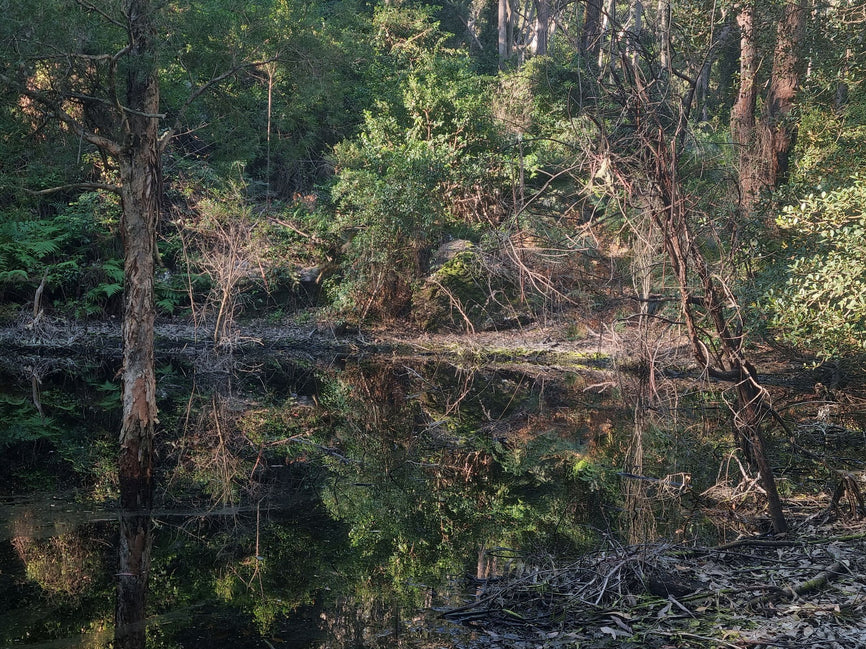 McCahon House x Bundanon Exchange Artist 2024