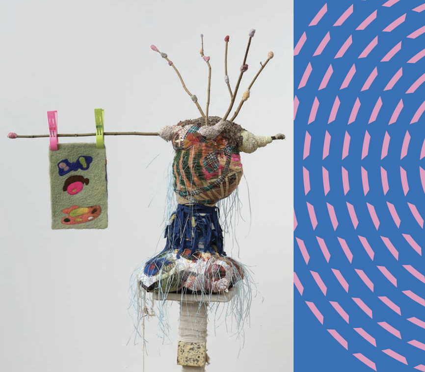 Curiosity Guide: an activity booklet for the whole whānau