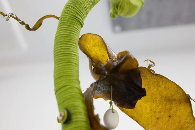 Artist Profile: Laree Payne Gallery
